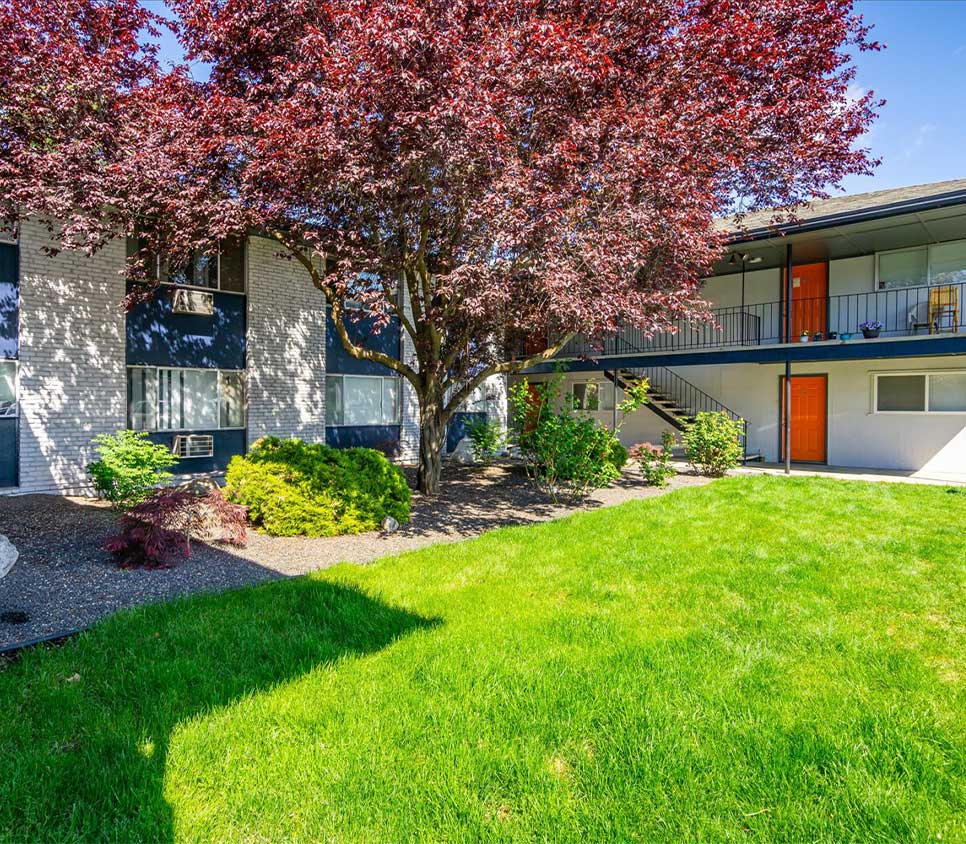 Apex Property Management photo of an apartment complex greenery and trees